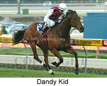 Dandy Kid (18294 bytes)