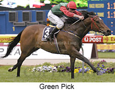 Green Pick (18805 bytes)