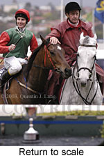 Return to scale (13827 bytes)