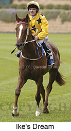 Ike's Dream (13231 bytes)