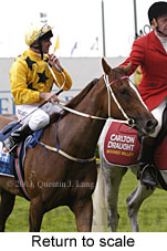 Return to scale (14964 bytes)