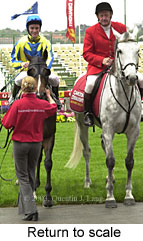 Return to scale (17192 bytes)