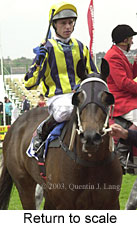 Return to scale (13839 bytes)