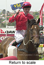 Return to scale (15682 bytes)