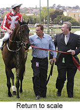 Return to scale (15682 bytes)