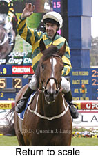 Return to scale (16277 bytes)