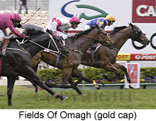 Fields Of Omagh (17998 bytes)