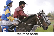 Return to scale (12744 bytes)