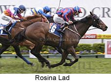 Rosina Lad (16068 bytes)