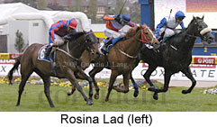 Rosina Lad (16027 bytes)