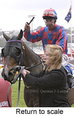 Return to scale (12770 bytes)