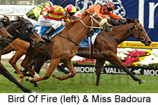 Bird Of Fire & Miss Badoura (18294 bytes)