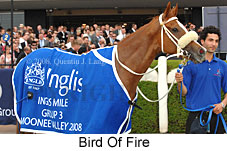 Bird Of Fire (18294 bytes)