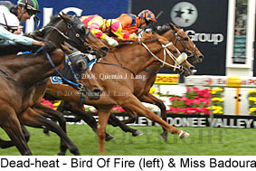 Dead-heat Bird Of Fire & Miss Badoura (18294 bytes)