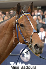 Miss Badoura (18294 bytes)