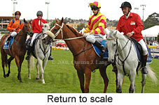 return to scale (18294 bytes)