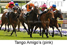 Tango Amigo's (18294 bytes)