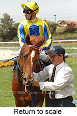 return to scale (18294 bytes)