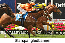 Starspangledbanner (18294 bytes)