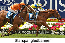 Starspangledbanner (18294 bytes)