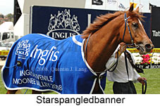 Starspangledbanner (18294 bytes)