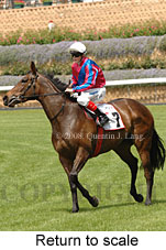 return to scale (18294 bytes)