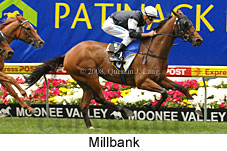 Millbank (18294 bytes)