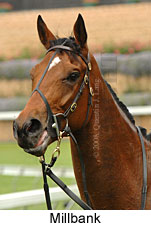 Millbank (18294 bytes)