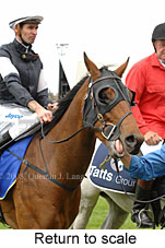 return to scale (18294 bytes)