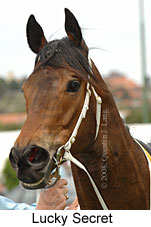 Lucky Secret (18294 bytes)