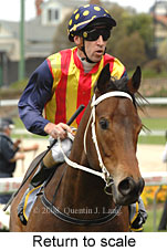 return to scale (18294 bytes)