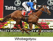 Whobegotyou (18294 bytes)