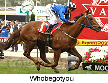 Whobegotyou (18294 bytes)