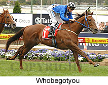 Whobegotyou (18294 bytes)