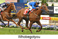 Whobegotyou (18294 bytes)