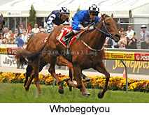 Whobegotyou (18294 bytes)