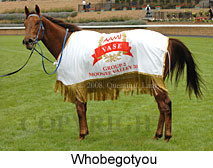 Whobegotyou (18294 bytes)