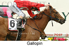 Gallopin (18294 bytes)