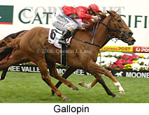 Gallopin (18294 bytes)