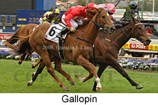 Gallopin (18294 bytes)