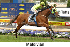 Maldivian (18294 bytes)