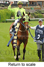 return to scale (18294 bytes)