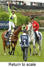 return to scale (18294 bytes)