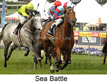 Sea Battle (18294 bytes)