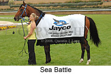 Sea Battle (18294 bytes)