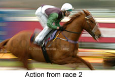 Movement (11638 bytes)