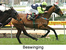 Beswinging (18100 bytes)