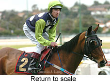 Return to scale (15060 bytes)