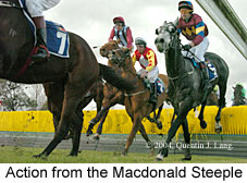 Jumping Action (19209 bytes)