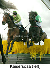 Kaisersosa (15778 bytes)